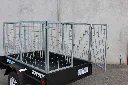 6x4 Caged Barn Door Trailer (6).webp
